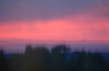 DSC 5242