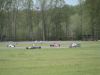 DSC03017