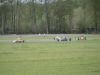 DSC03019