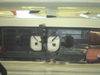 DSC00543
